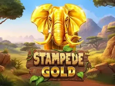 Spinaud Casino screenshot